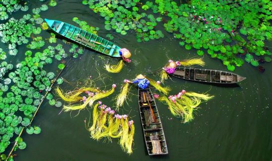 Tour du lịch sông nước miền Tây Nam Bộ